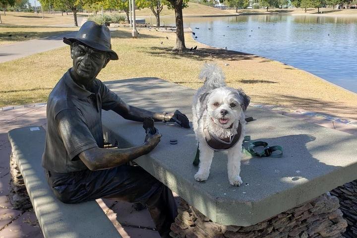 This photo was taken at Dog Park at Steele Indian School Park in Phoenix, AZ.