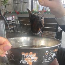 R Bar & Grill restaurant view 1