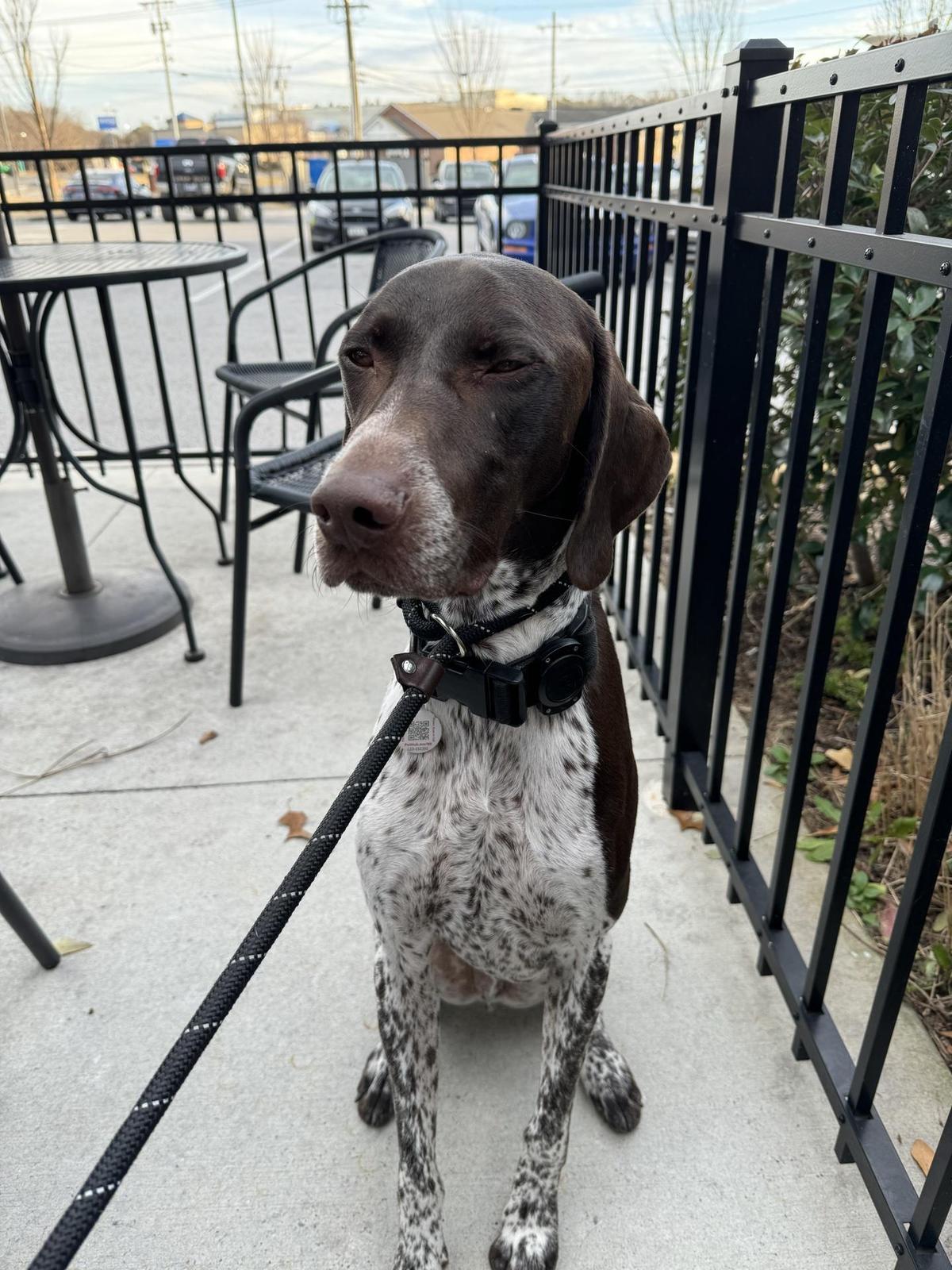 Mike's Tavern restaurant view 1