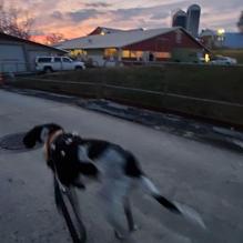 Cave Hill Farms Brewery restaurant view 1