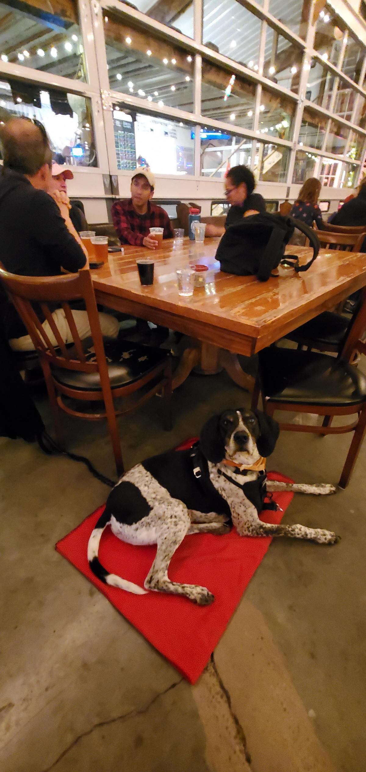 Image of Cave Hill Farms Brewery