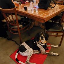 Cave Hill Farms Brewery restaurant view 2