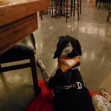 Cave Hill Farms Brewery restaurant view 3