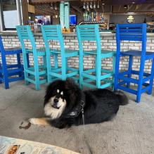 Fysh Bar & Grill restaurant view 2