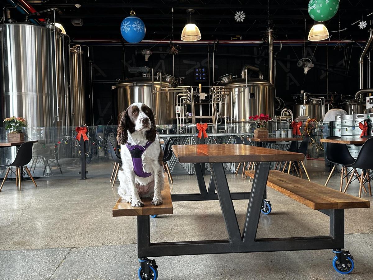 Validation Ale restaurant view 2