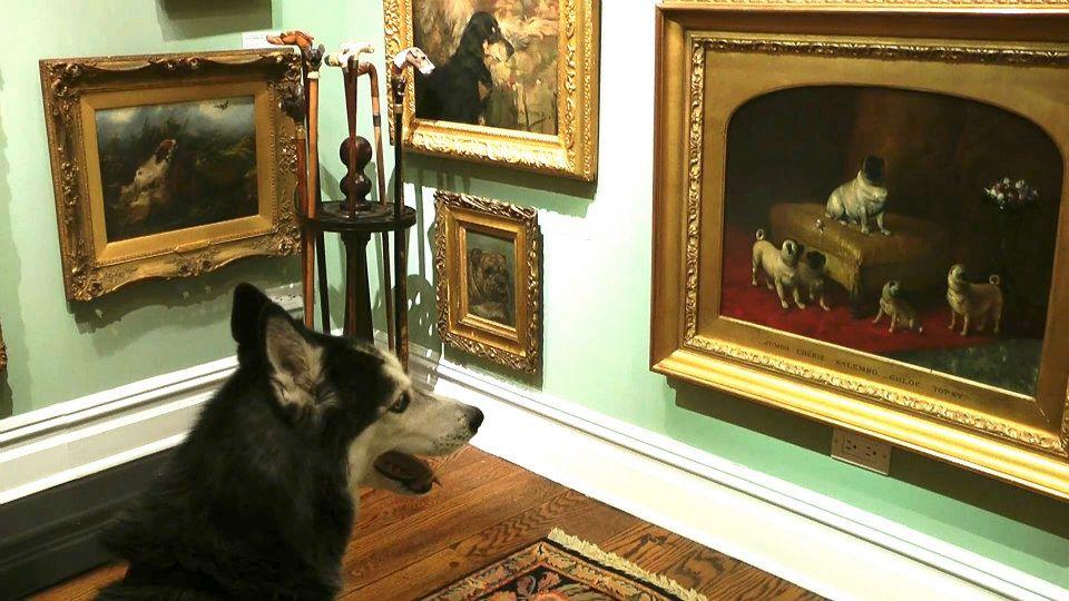 Pet Friendly William Secord Gallery