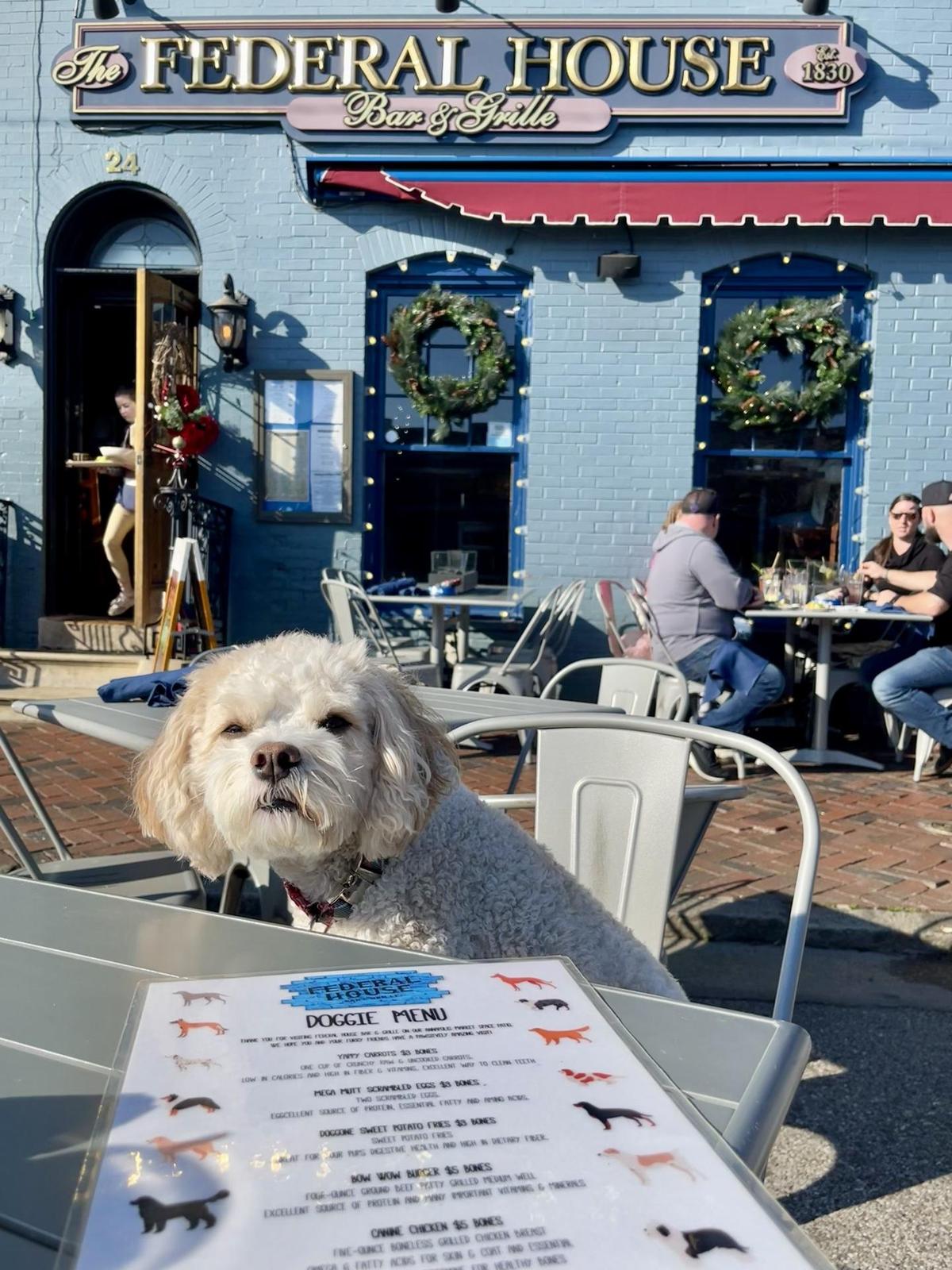 Image of Federal House Bar & Grill