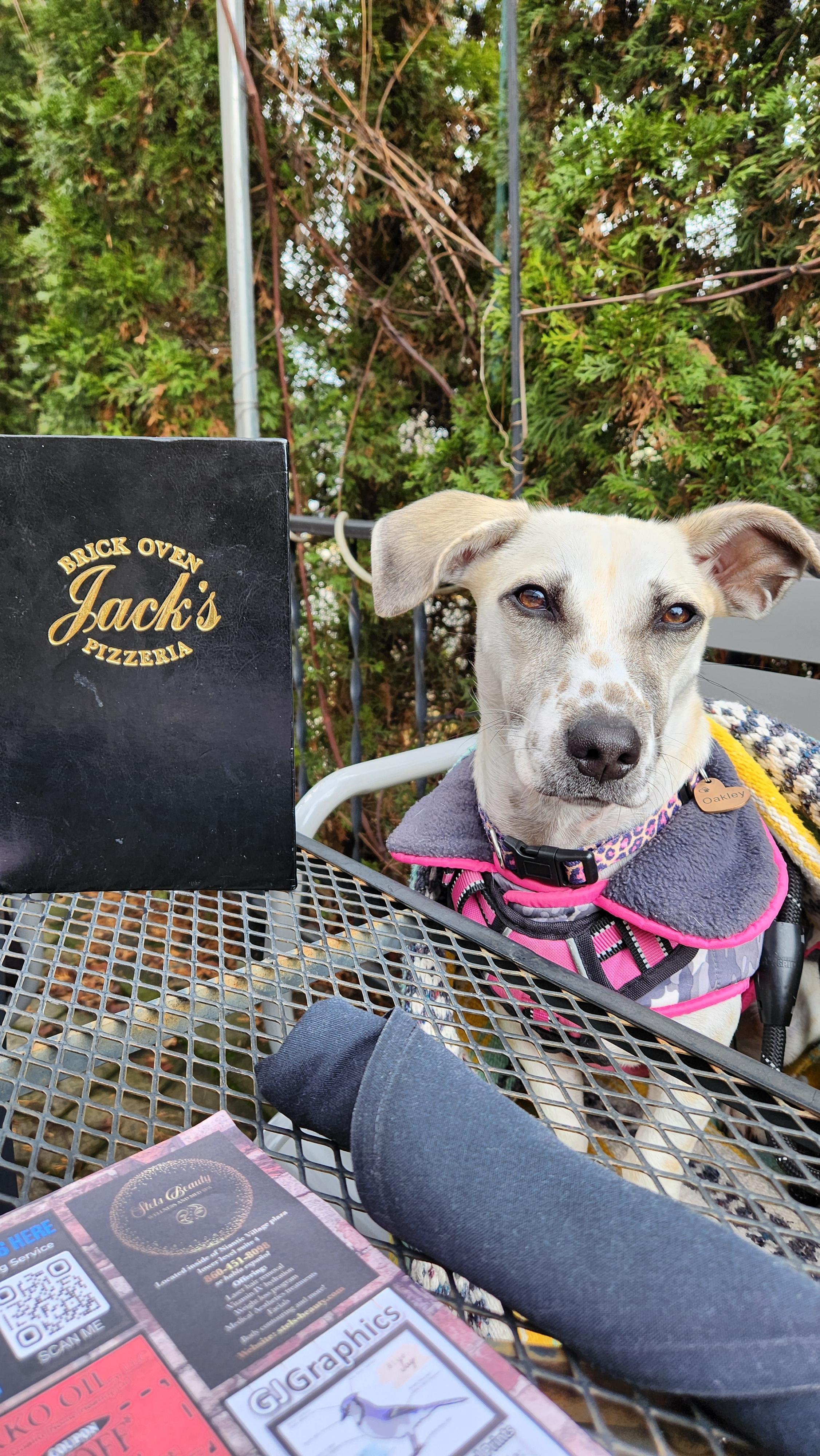 Pet Friendly Jack's Brick Oven