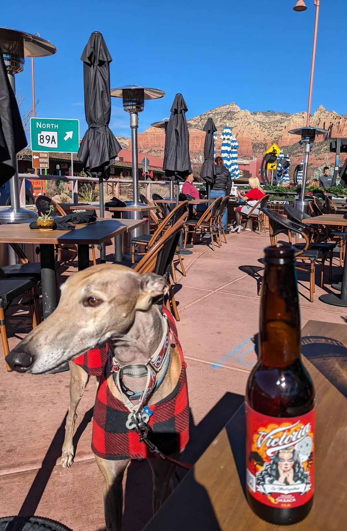 89 Agave restaurant view 1