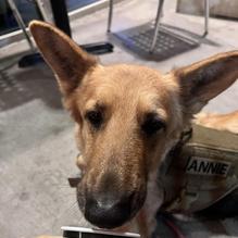 Moo Creamery restaurant view 1