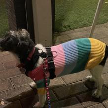 Taverna restaurant view 1