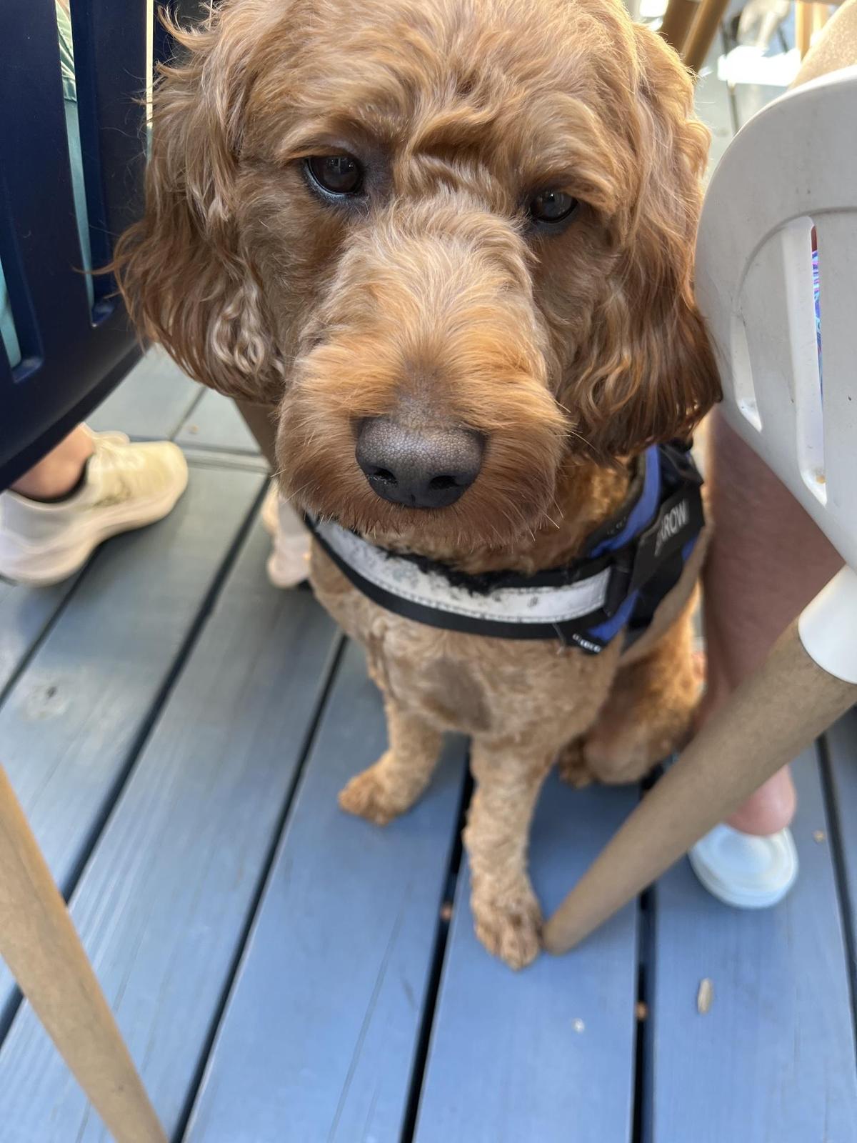 Survey Cafe restaurant view 1