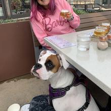 Malibu Brewing Company restaurant view 1