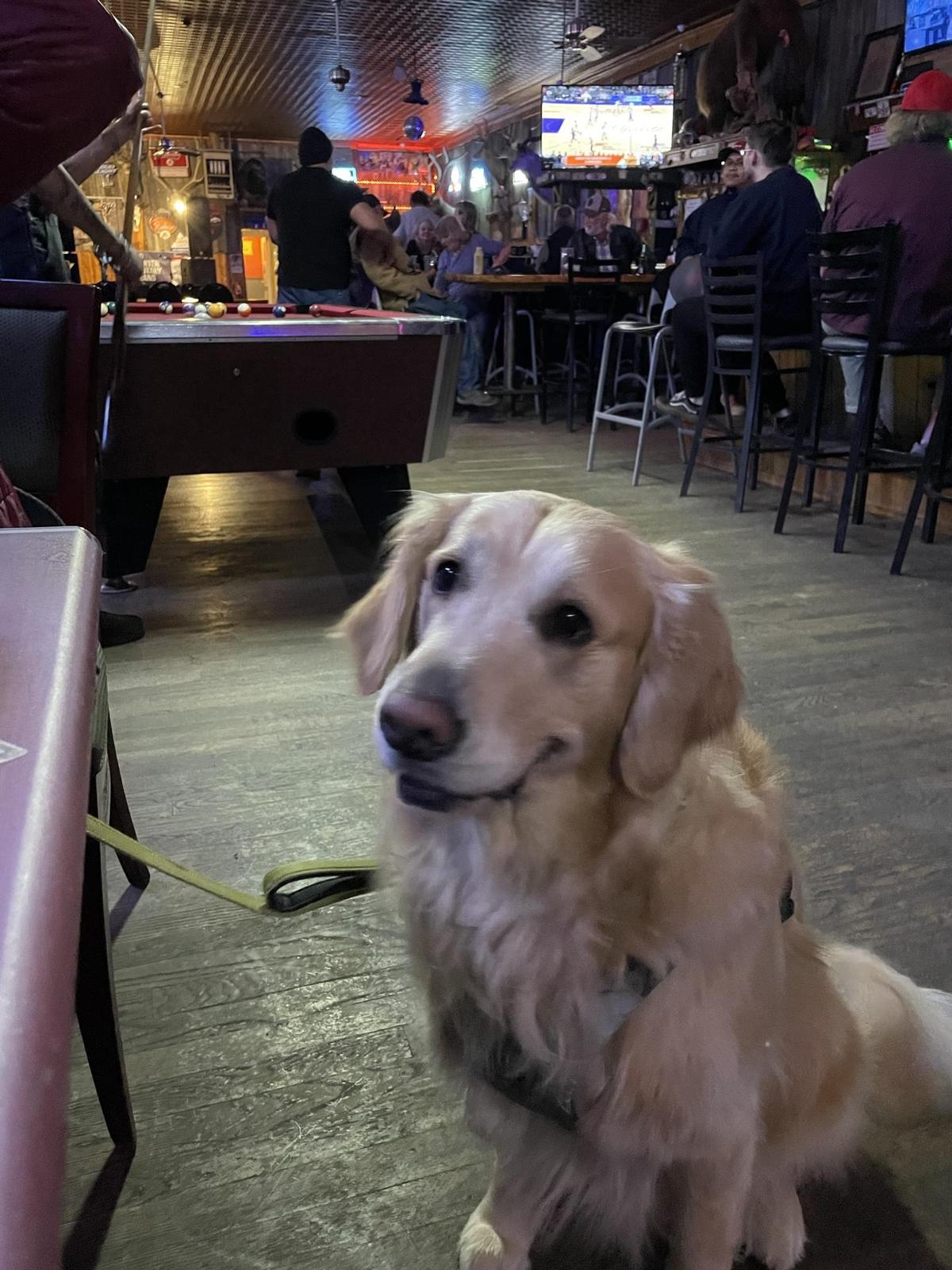 Sultana Bar restaurant view 1