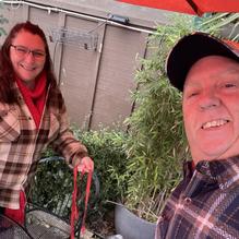 The Cottonwood Cafe restaurant view 1