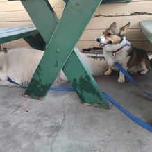 Farmer Boys restaurant view 2