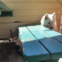 Farmer Boys restaurant view 1