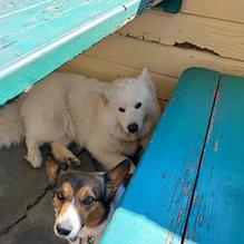 Farmer Boys restaurant view 3