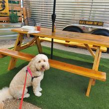 Bear & Dragon Cafe restaurant view 1