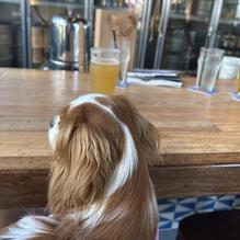 Simmzy's restaurant view 1