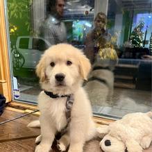 Craft and Draft restaurant view 1