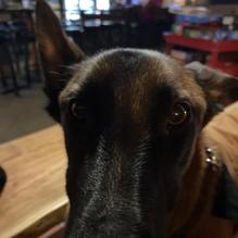 Hops on Birch restaurant view 1