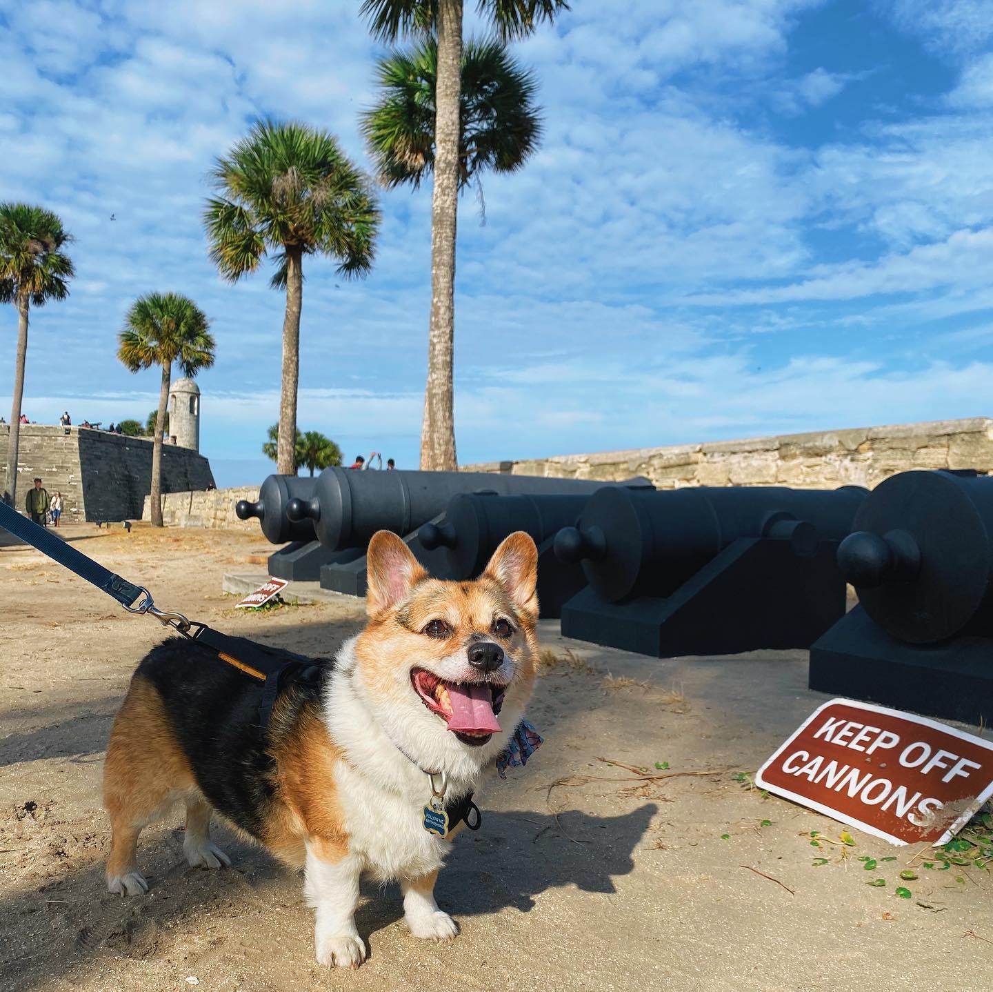 Castillo de San Marcos National Monument