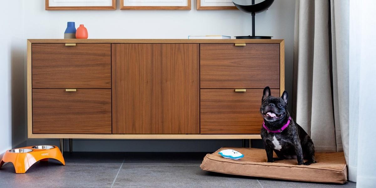 Top Dog Friendly Hotel Chains of 2023 BringFido