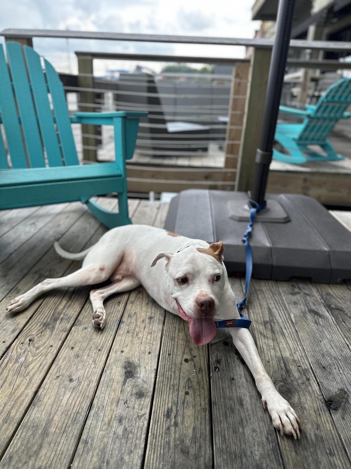 Georgetown Corner Tavern restaurant view 1