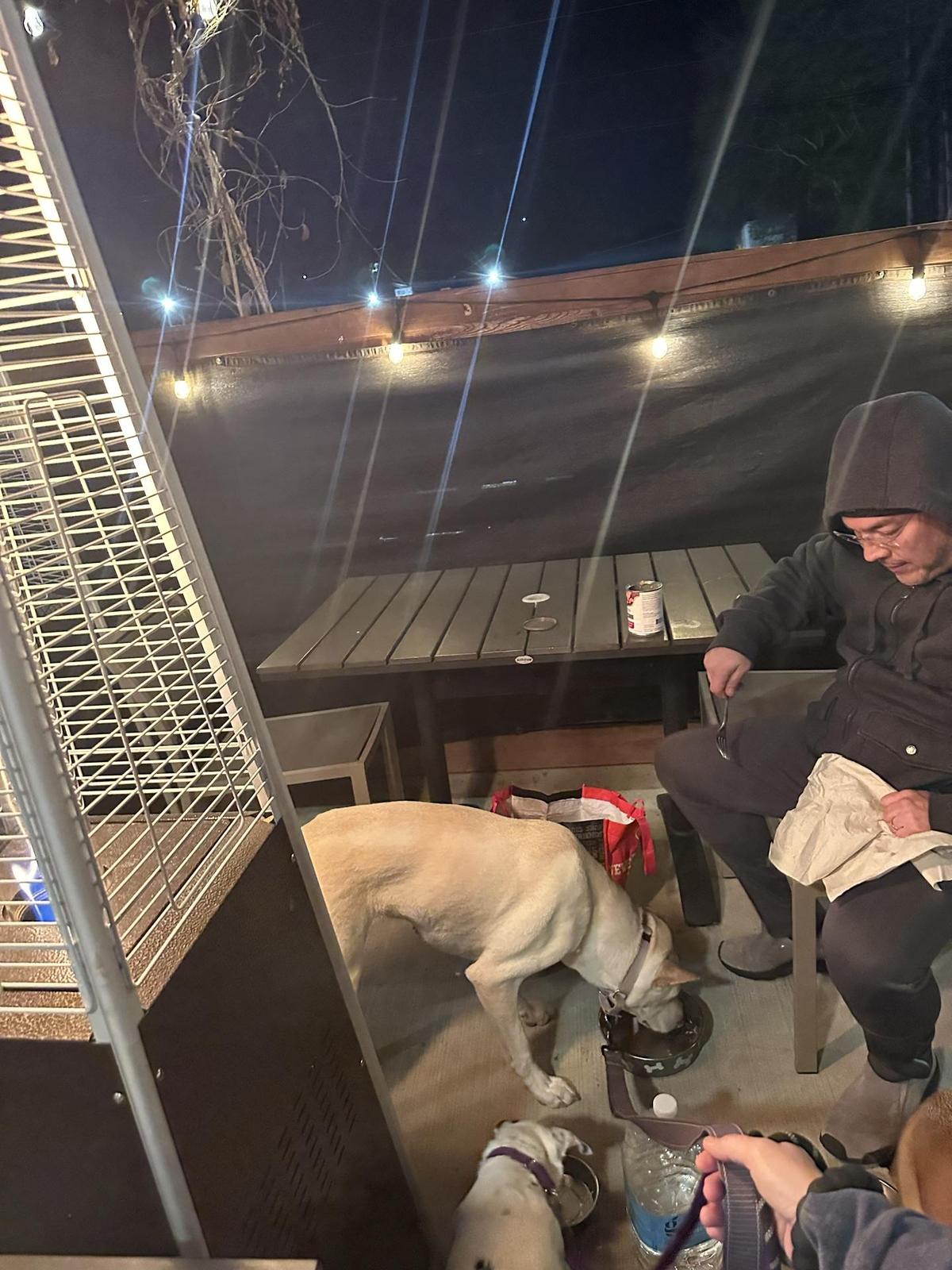 Taco Loco restaurant view 1