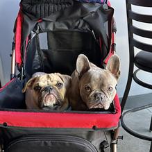 Higher Gravity Summit Park restaurant view 1