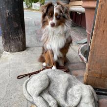 Sea Shanty Restaurant restaurant view 3