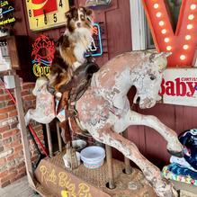 Sea Shanty Restaurant restaurant view 2