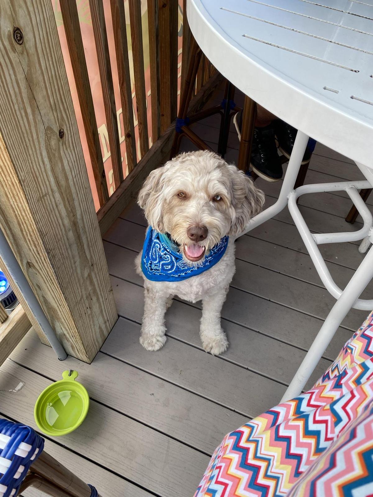 Caddy's Indian Shores restaurant view 1