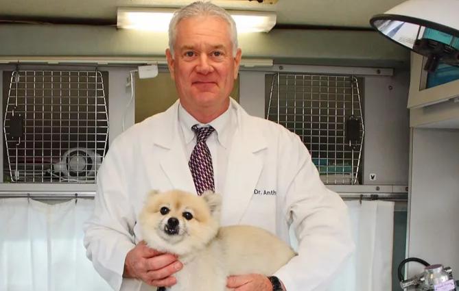 Pet Friendly Florida Veterinary Clinic