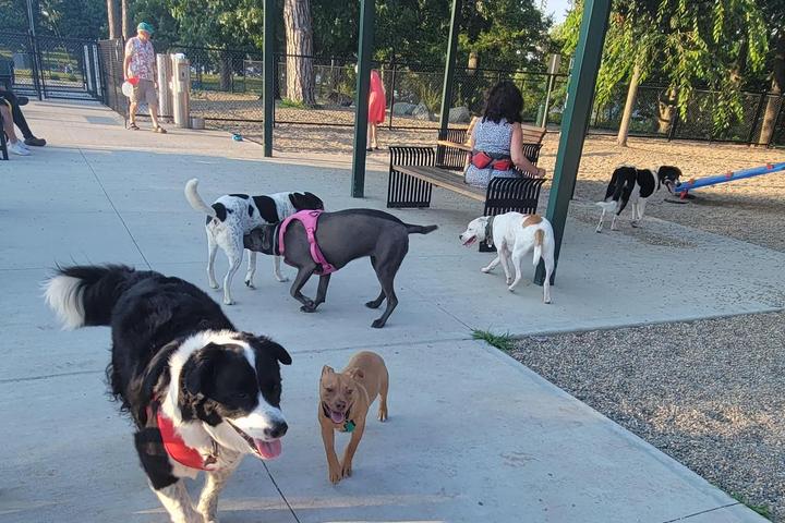 Pet Friendly Framingham Dog Park