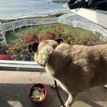 The Cliff restaurant view 1