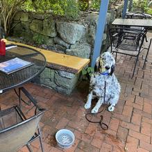 Blue Moon Cafe restaurant view 1