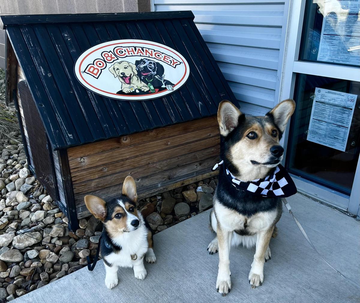 Double Dogs restaurant view 1