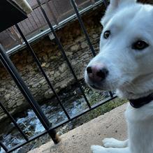 Best Italian restaurant view 1