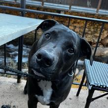 Best Italian restaurant view 2