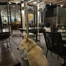 Scuderie Italia restaurant view 1