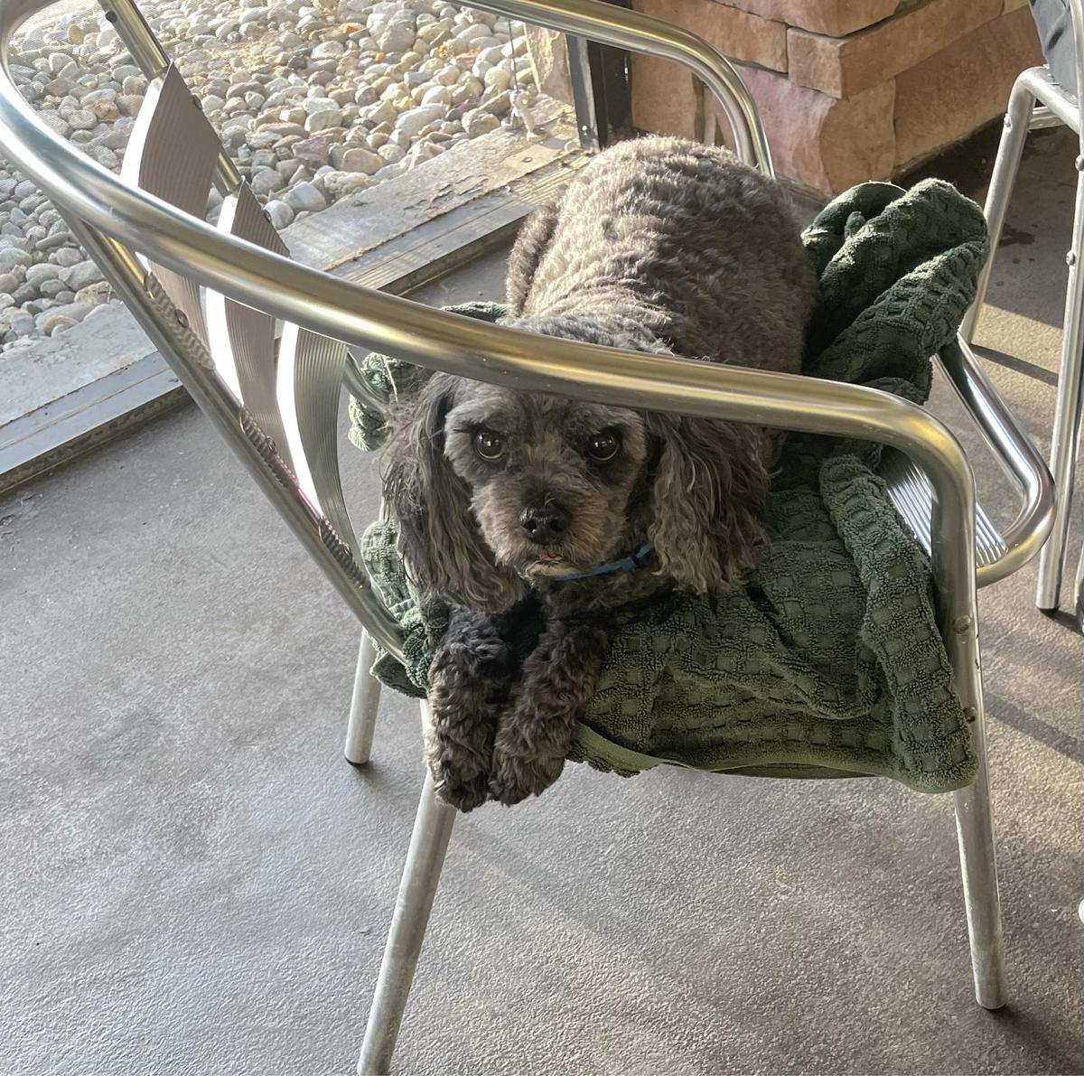 Hurricane Wings & Grill restaurant view 2