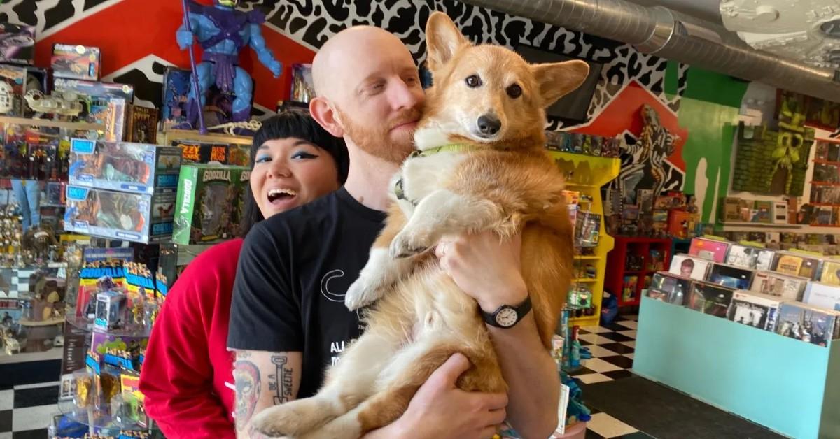 Pet-Friendly Record Stores