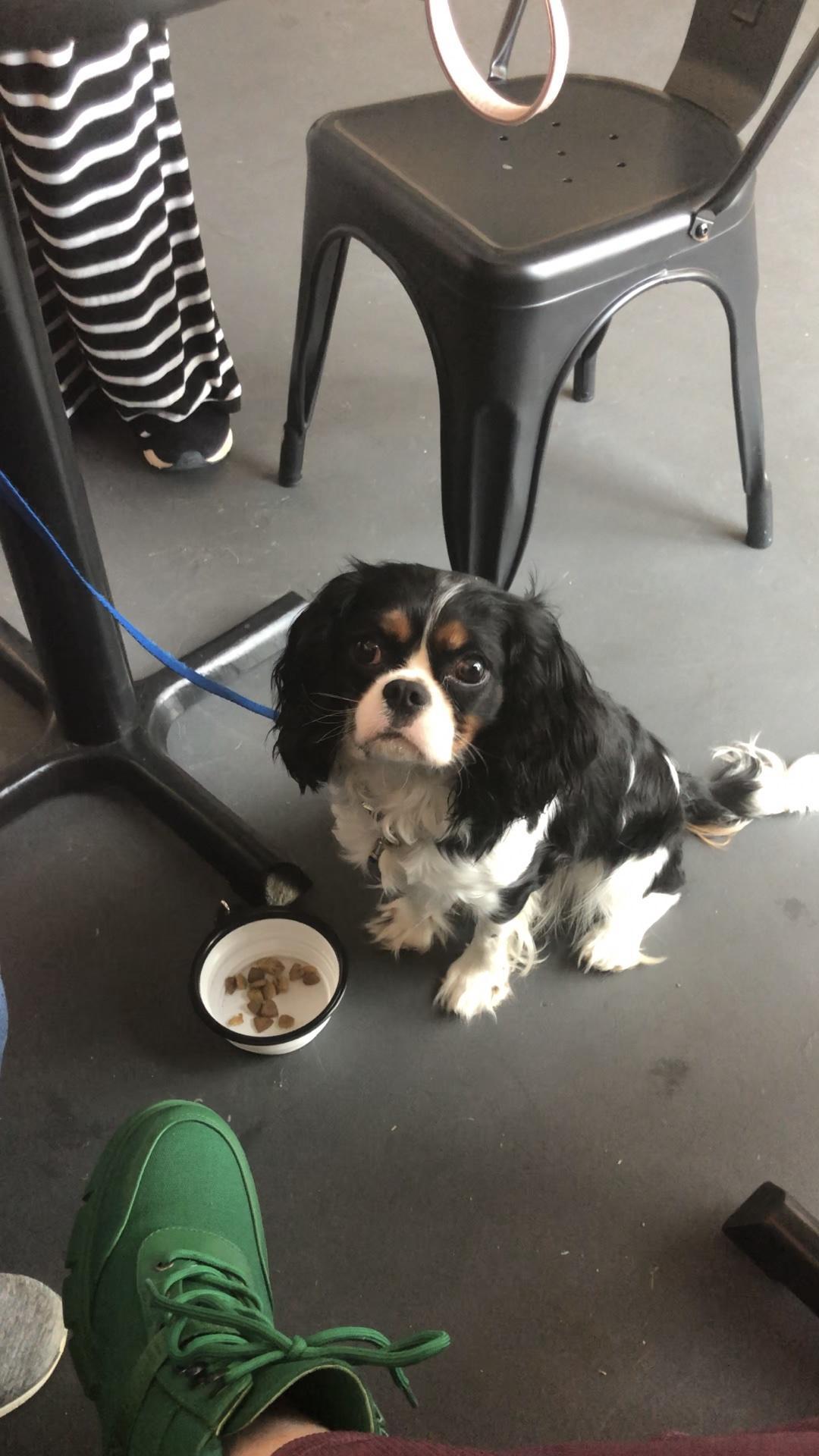 EverLou Coffee Co. restaurant view 1