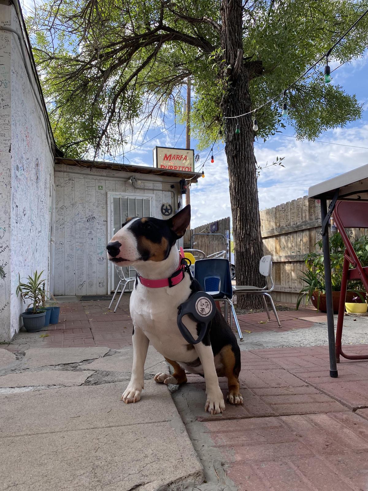 Marfa Burrito restaurant view 1