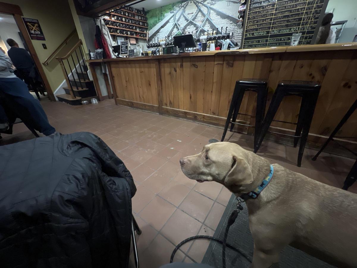 Twisted Rail Brewing Company restaurant view 1