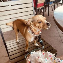 Tony's Sports Bar and Grill restaurant view 1