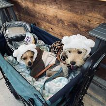 Anita's restaurant view 1