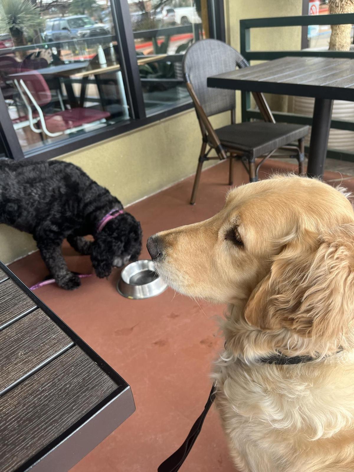 Rascal restaurant view 1